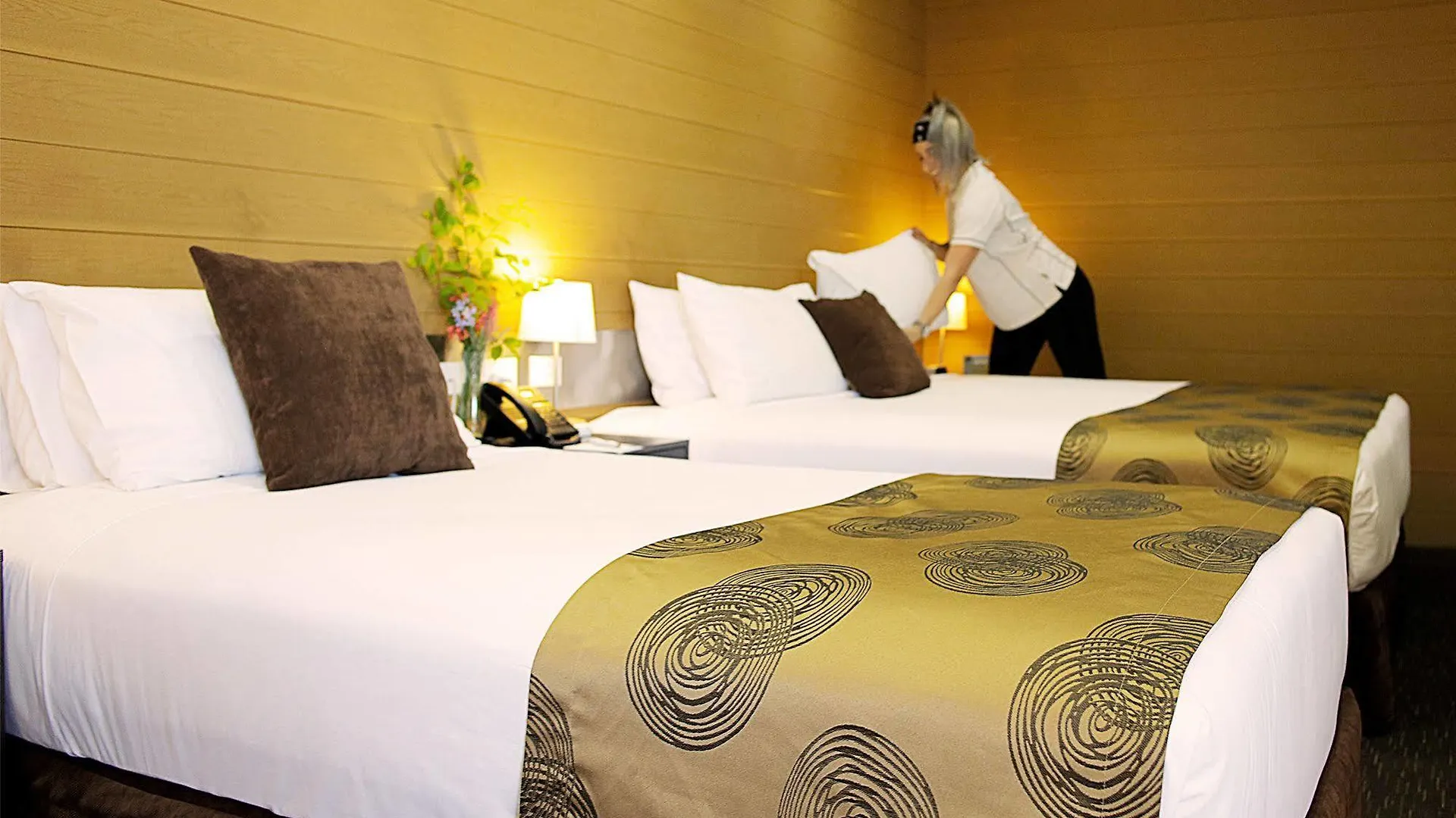 Room Motels Kingaroy